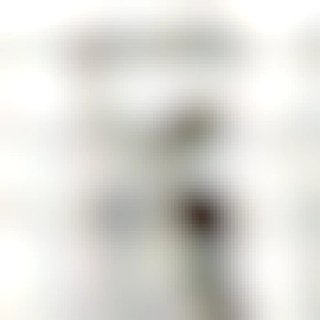 MiniMia 🏴󠁧󠁢󠁷󠁬󠁳󠁿 🇵🇸 🏴