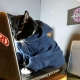 Curated Hacker News