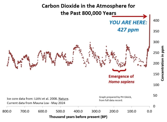 Graph of atmospheric CO2 levels for the past 800,000 years, showing ups and downs but never exceeding 280 parts per million until the modern era, and today levels are at 427 ppm. Homo sapiens emerged only 200-300,000 years ago. Data from ice cores and other paleoclimatic sources; data on current levels from the Keeling Curve instruments on Mauna Loa, HI through May 2024.
