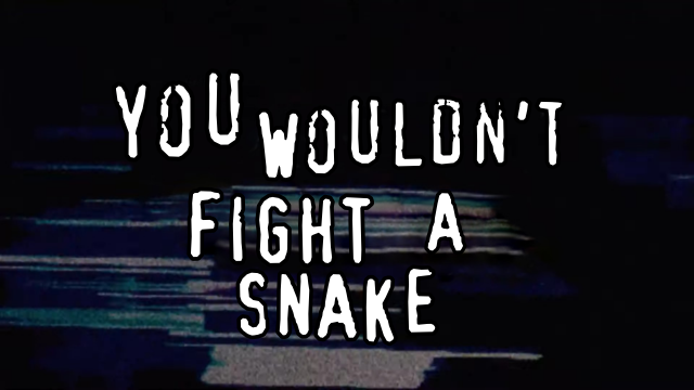 Meme in the same style reading "You wouldn't fight a snake".