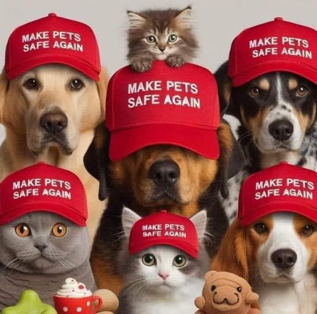 Definitely ANTI-MAGA red hats reading "Make Pets Safe Again" worn by rows of dogs and cats.