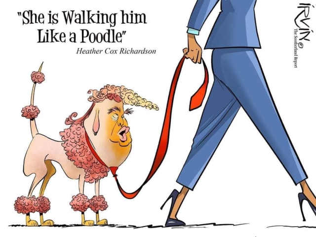 After the debate with Trump, Kamala Harris is "walking him like a poodle."
