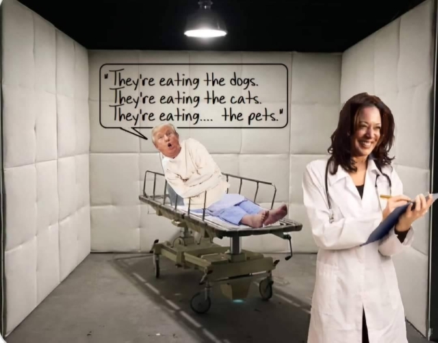 Trump in a straightjacket in a padded cell screaming, "They're eating the dogs, cats, pets." And the doctor in a white coat taking the notes is Kamala Harris.