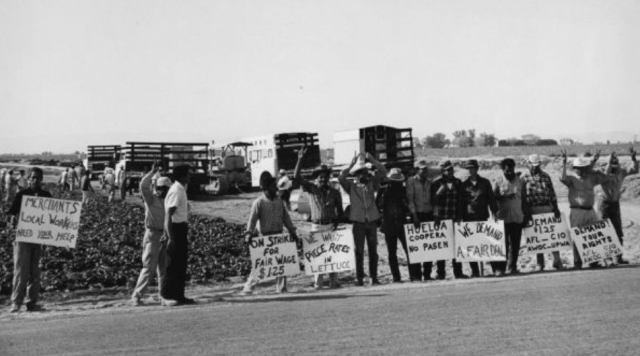 Mexican and Filipino farm workers line a road in El Centro, California, during the 1930 Lettuce Strike. They carry signs that read: On Strike for Fair Wage $1.25; We Want Piece Rates in Lettuce; We Demand a Fair Deal; Demand Your Rights; Huelga Coopera No Pasen. 