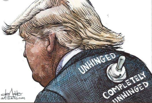 Cartoon showing Trump's back, with a rifle switch
Up = unhinged
Down = completely unhinged