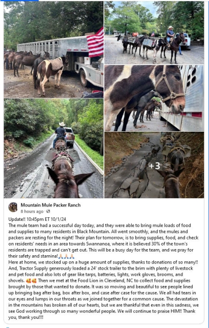 Screenshot of a post from Mountain Mule Packer Ranch with several pictures of mules in pack saddles, carrying supplies or resting beside large horse trailers. Most of the text with the post included--truncated because of length: "Update!! 10:45pm ET 10/1/24  The mule team had a successful day today, and they were able to bring mule loads of food and supplies to many residents in Black Mountain. All went smoothly, and the mules and packers are resting for the night! Their plan for tomorrow, is to bring supplies, food, and check on residents' needs in an area towards Swannanoa, where it is believed 30% of the town's residents are trapped and can't get out. This will be a busy day for the team, and we pray for their safety and stamina!🙏🏻🙏🏻🙏🏻
Here at home, we stocked up on a huge amount of supplies, thanks to donations of so many!! And, Tractor Supply generously loaded a 24' stock trailer to the brim with plenty of livestock and pet food and also lots of gear like tarps, batteries, lights, work gloves, brooms, and shovels. 🥰🥰 Then we met at the Food Lion in Cleveland, NC to collect food and supplies brought by those that wanted to donate. It was so moving and beautiful to see people lined up bringing bag after bag, box after box, and case after case for the cause. We all had tears in our eyes and lumps in our throats as we joined together for a common cause.....[clipped]"