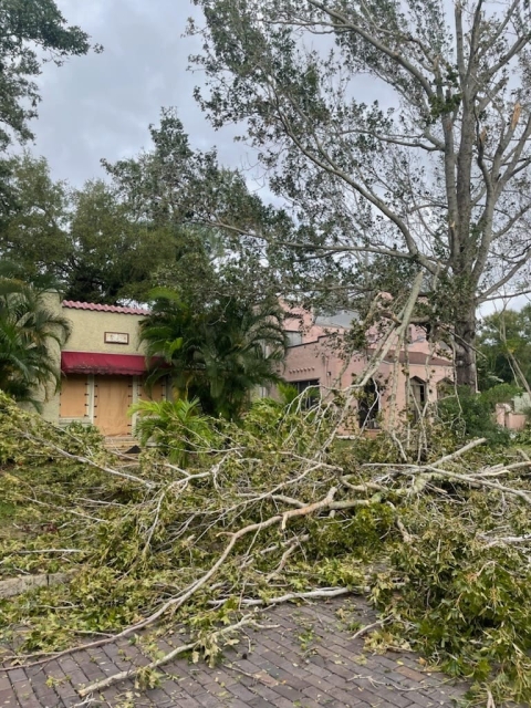 Looking toward the front of our house, a pile of limbs covers most of the street and the entire sidewalk in front of our house. A large limb hangs from the tree it broke from.