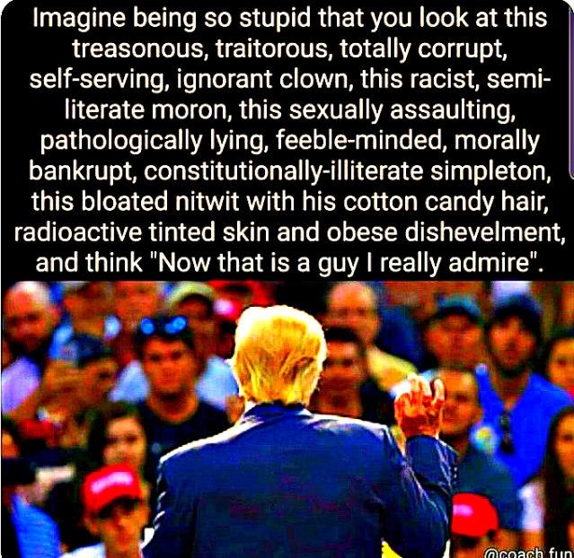 Imagine being so stupid that you look at this treasonous, traitorous, totally corrupt, self-serving, ignorant clown, this racist, semi- literate moron, this sexually assaulting, pathologically lying, feeble-minded, morally bankrupt, constitutionally-illiterate simpleton, this bloated nitwit with his cotton candy hair, radioactive tinted skin and obese dishevelment, and think "Now that is a guy I really admire".