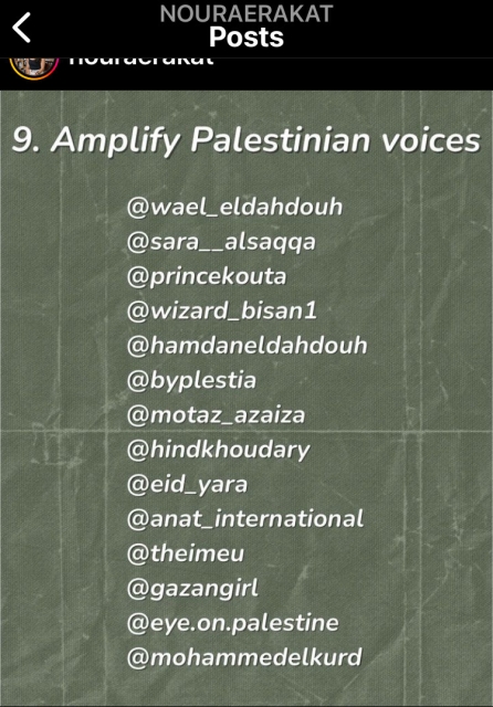 text by Noura Erakat on instagram reads 9. Amplify Palestinian voices with the handles of several people: 
@wael_eldahdouh

@sara__alsaqqa

@princekouta

@wizard_bisan1

@hamdaneldahdouh

@byplestia

@motaz_azaiza

@hindkhoudary

@eid_yara

@anat_international

@theimeu

@gazangirl

@eye.on.palestine

@mohammedelkurd