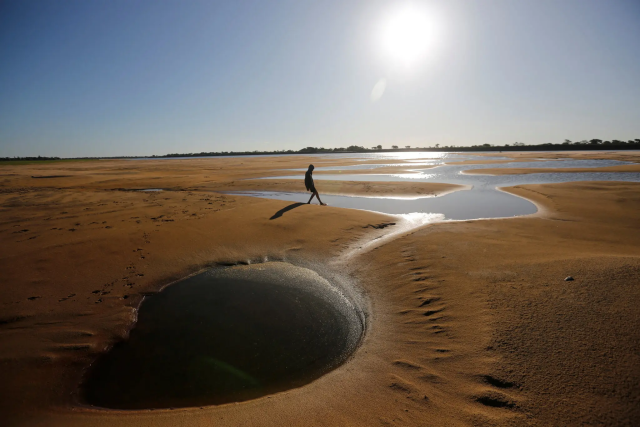 Photo by Cesar Olmedo/Reuters. A boy walking on exposed sandbanks of the Paraguay River in Paraguay. Water levels in the river have plunged during an extended dry spell across much of South America.