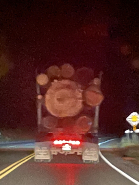 A logging truck in the dark is ahead in the picture. A very large log surrounded by smaller logs is in the truck. It is likely just one tree. I would estimate the tree to be 200 to 300 years old, possibly older.