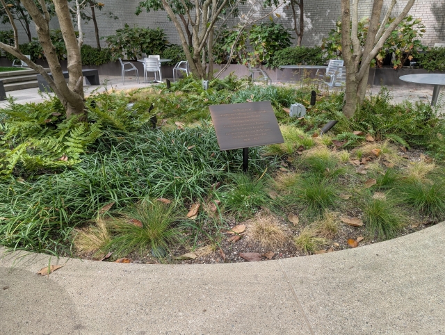 Brass plaque in a little round garden with plants and three small trees
"In memory of our heroic colleagues and friends at NYU Langone Health who lost their lives during the coronavirus pandemic. We are forever grateful for your courage and dedication. We will always miss you. 2020–2021"