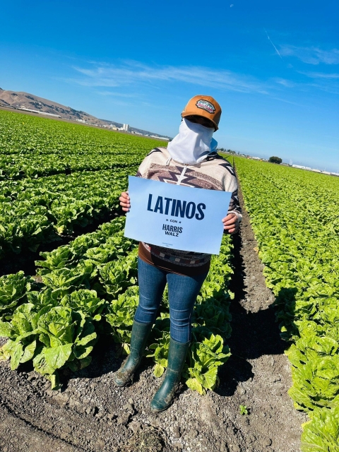 Worker standing at the edge of a lettuce field holding a Latinos con Harris sign