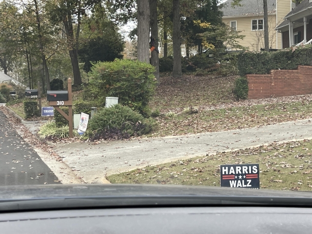 A suburban neighborhood yard features several campaign Harris and Trump signs and a driveway, surrounded by autumn leaves and trees