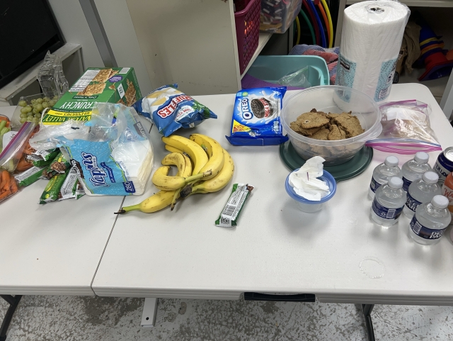 Photo of a simple folding table with a bunch of food on it. Cookies (home baked!) and fruit and veggies. 