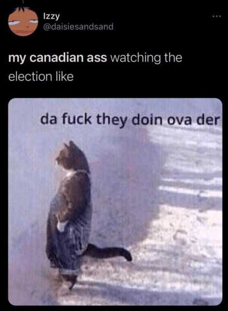 Social media post by Izzy (@daisiesandsand)

Image: A cat dressed in overalls is standing on two legs and looking out curiously. 

Text: my canadian ass watching the election like
da fuck they doin ova der