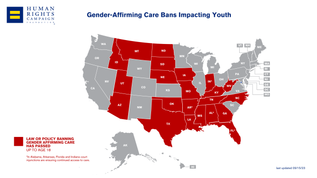 US Gender affirming care bans  2024