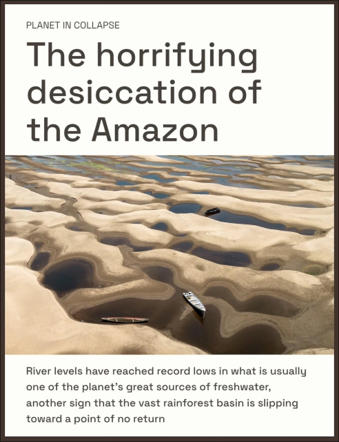 Screenshot from linked article. Headline says: "The horrifying desiccation of the Amazon." Below this is a photo of empty boats floating in ponds on a dried-up river bed.