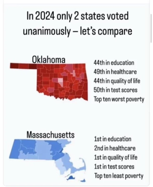 News graphic with the title, "In 2024 only 2 states voted unanimously -- let's compare"

Oklahoma (shown in shades of red for Republican)
44th in education
49th in healthcare
44th in quality of life
50th in test scores
Top ten worst poverty

Massachusetts (shown in shades of blue for Democrat)
1st in education 
2nd in healthcare
1st in quality of life
1st in test scores
Top ten in least poverty 