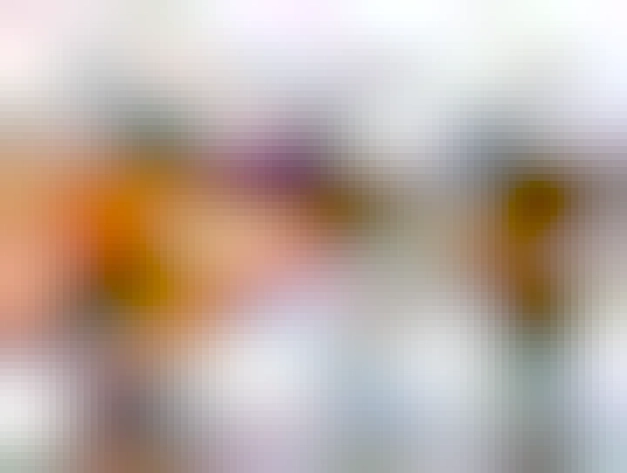 A snow-covered sidewalk in a city. On the right is a bearded man dressed warmly and holding a leaf blower. He has it pointed at a what appears to be an ICE agent, or equivalent, wearing camouflage of the type one would wear in a jungle, not a city. He is holding a canister toward the man and a bright orange cloud is blowing back into his face (which we can't see because of the orange). On the side of the snowblower cone is "Self-Defense".