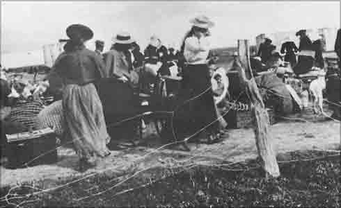 Boer women in one of the concentration camps. They are in the open air behind wire fences.