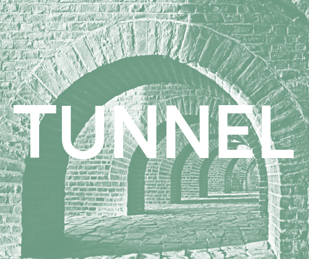 The title image for Tunnel, featuring the word, in caps, atop a duo-tone background of an old brick tunnel complex.
